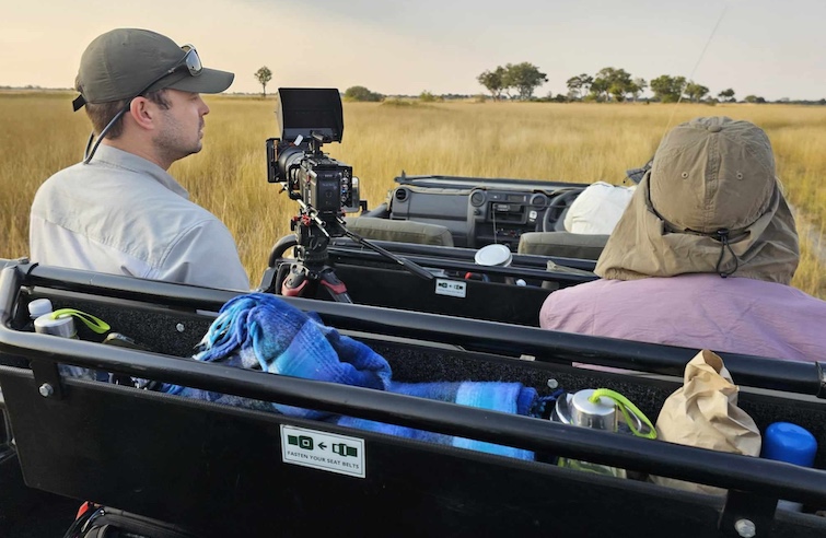 Land safari by jeep is considered the more traditional African safari.