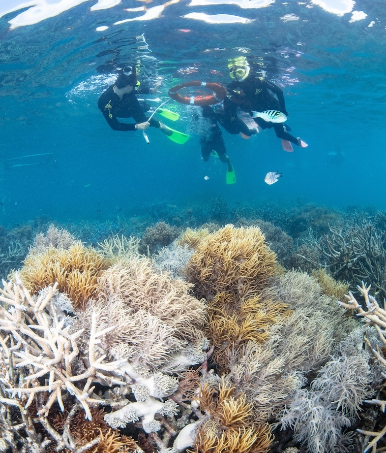 Extensive damage to the Great Barrier Reef can be seen by the extent of bleached coral. 