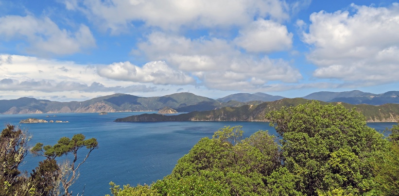 Cook would have seen this view of Ship Cove in Queen Charlotte Sound from Motuara Island.