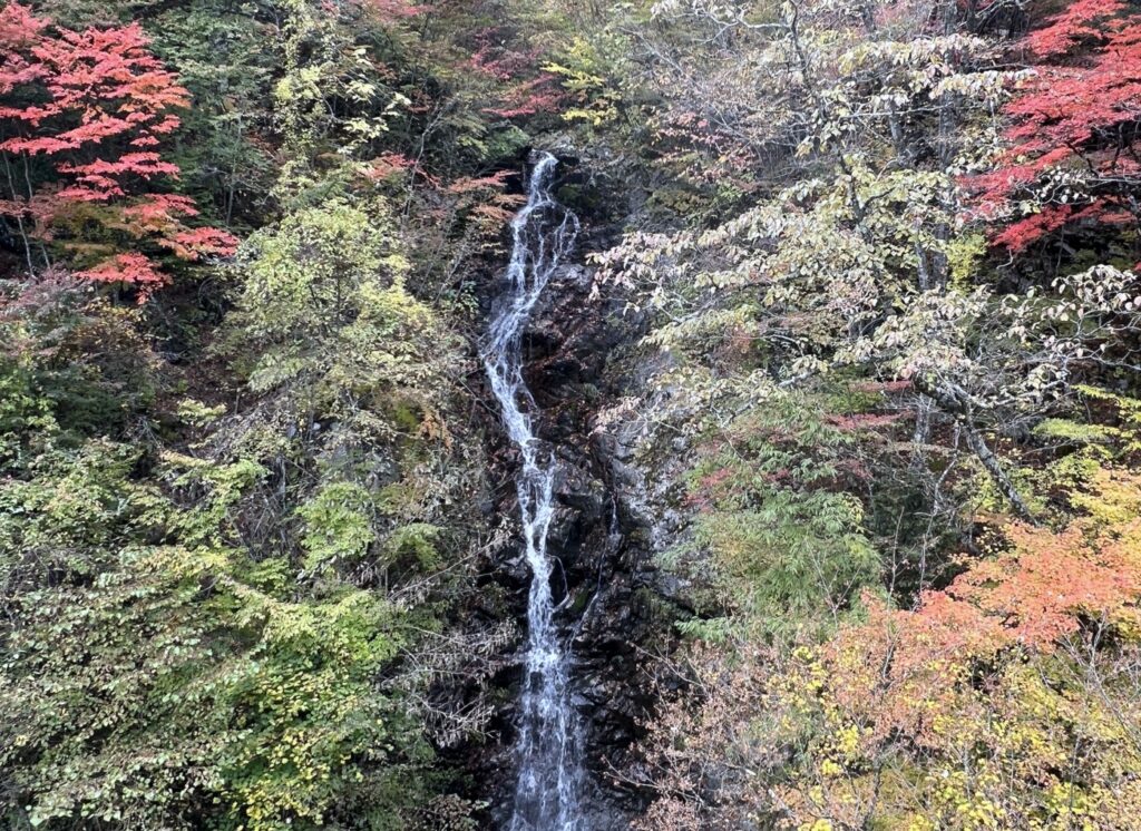 Mito Otaki Falls in the Forest of Tokyo Citizen is one of 50 waterfalls in Hinohara. Mito Otaki is especially beloved by Hinohara residents. 