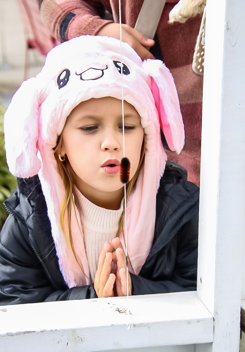 Children love the Woolly Worm races in Beattyville, Kentucky