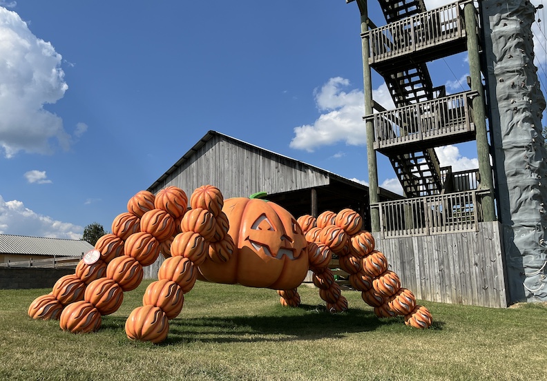 Pumpkins come to life at the Honeysuckle Hill Farm in Springfield, TN.