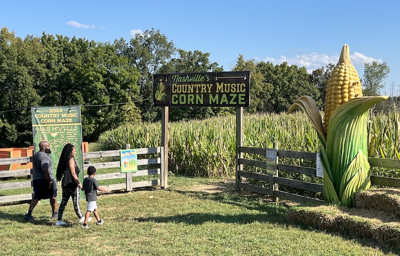 A Southern family tests its skills at a corn maze.