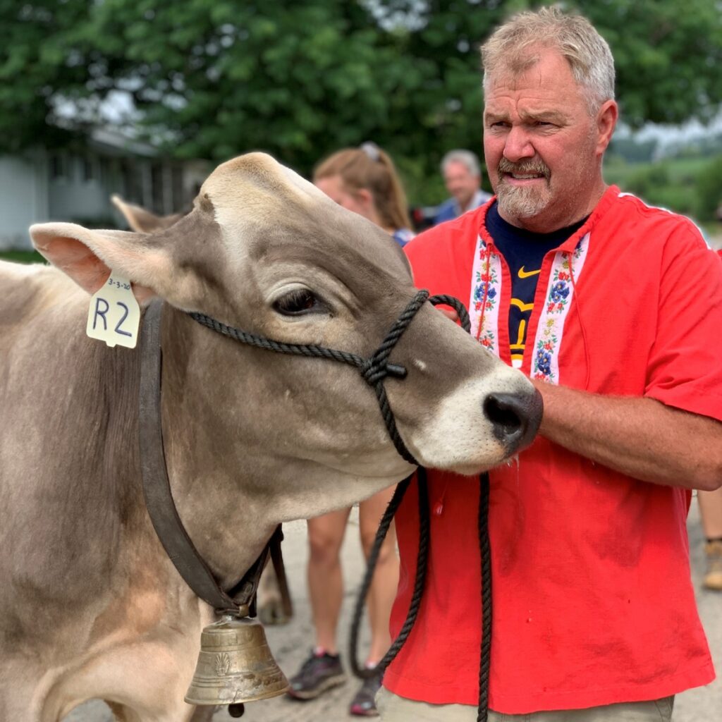 A Brown Swiss cow wears a bell around its neck in New Glarus, Wis.