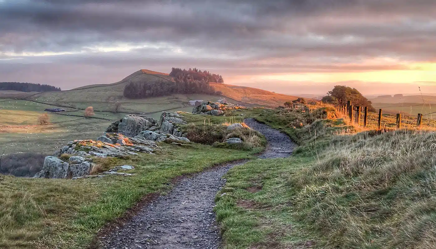 An easy to traverse path meanders past stones from the wall and countless sheep in the fields. 