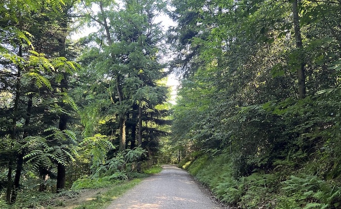 This hiking path between the Oberkirch village of Nussbach leads to Sankt Wendel, a pilgrimage chapel on the Saint Jacobs path (Jacobsweg). 