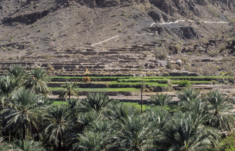 An irrigation canal or falaj, comes down the distant mountain providing water for the terraced fields of Wadi Bani Kharus. 