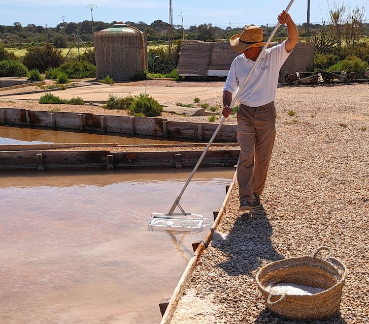 Mallorca Salt Pan